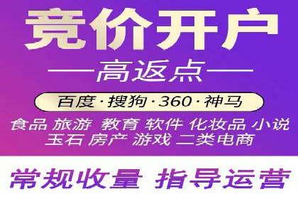 成功案例揭秘：信息流开户返点的成功之道